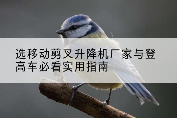巴青电动升降机厂家-选移动剪叉升降机厂家与登高车必看实用指南