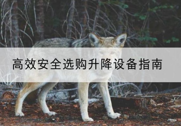 巴青升降货梯厂家推荐-*安全选购升降设备指南